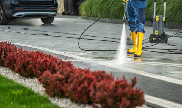 Best Commercial Building Pressure Washing  in Springfield, MA