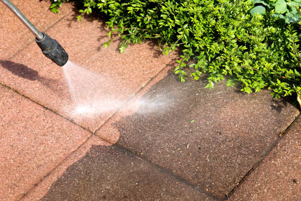 Local Pressure Washing Services in Springfield, MA